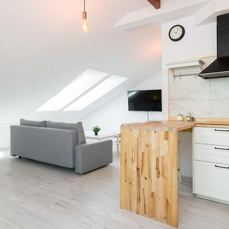 Apartment Alexander 克拉科夫 外观 照片