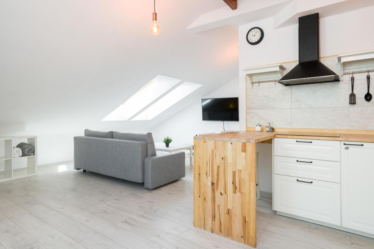 Apartment Alexander 克拉科夫 外观 照片